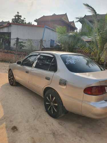 លក់ប្រញាប់ដូរស៊េរី