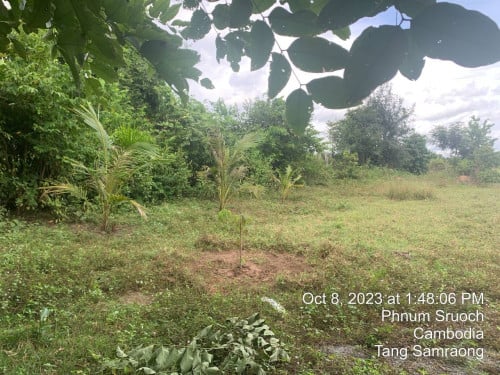 ដីភូមិលក់ $6,800 ទំហំ (11A)