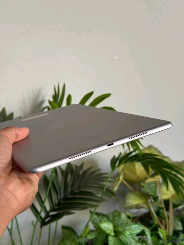 #IPad Pro 10.5 2017 64g Only WiFi 155$
