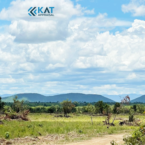 ដីសម្រាប់លក់​ l Land For Sale