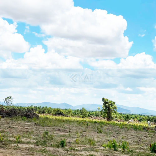 ដីសម្រាប់លក់​ l Land For Sale