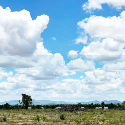 ដីសម្រាប់លក់​ l Land For Sale