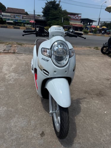 Honda Scoopy 2020 មានពន្ធ