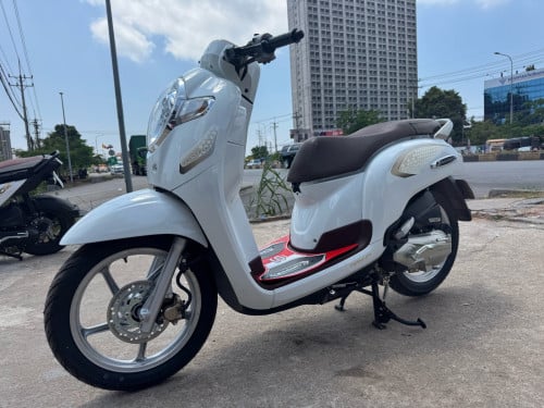 Honda Scoopy 2020 មានពន្ធ