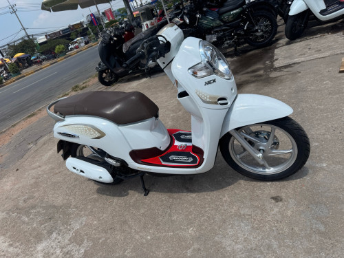 Honda Scoopy 2020 មានពន្ធ