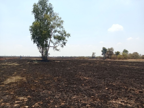 Land for Sale in Kampong Chhnang (Along National Road 5)
