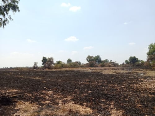 Land for Sale in Kampong Chhnang (Along National Road 5)