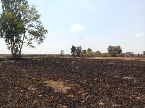 Land for Sale in Kampong Chhnang (Along National Road 5)