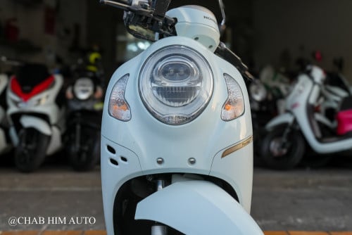 Scoopy022       90%