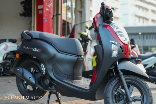 Scoopy026        100%