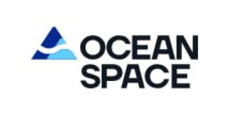 Senior Finance Executive