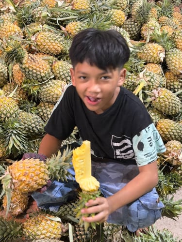 ម្នាស់​មោងឬស្សី​ខេត្ត​បាត់​