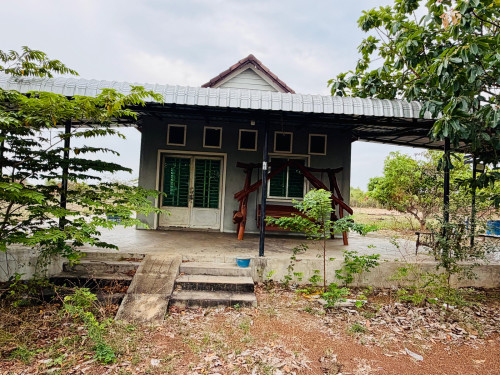 ដីនិងផ្ទះលក់បន្ទាន់ជិតផ្សាររមាស