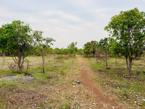 ដីនិងផ្ទះលក់បន្ទាន់ជិតផ្សាររមាស