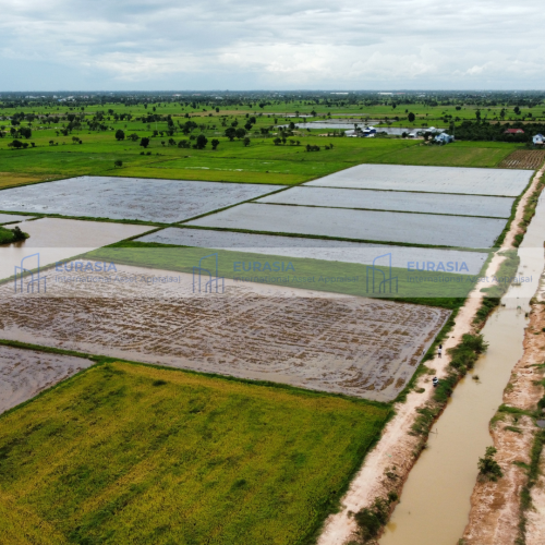 ឱកាសវិនិយោគ៖ ដីសម្រាប់អភិវឌ្ឍន៍ជាប់ផ្លូវប្រឡាយមេ ៣០ម៉ែត្រនៅស្រុកបាទី!