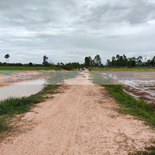 ឱកាសវិនិយោគ៖ ដីសម្រាប់អភិវឌ្ឍន៍ជាប់ផ្លូវប្រឡាយមេ ៣០ម៉ែត្រនៅស្រុកបាទី!