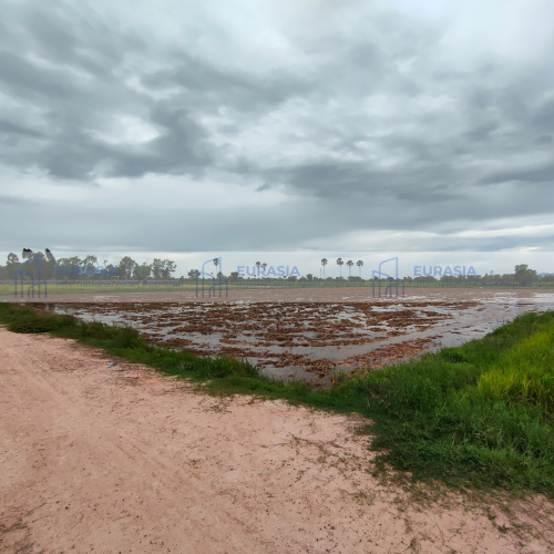 ឱកាសវិនិយោគ៖ ដីសម្រាប់អភិវឌ្ឍន៍ជាប់ផ្លូវប្រឡាយមេ ៣០ម៉ែត្រនៅស្រុកបាទី!