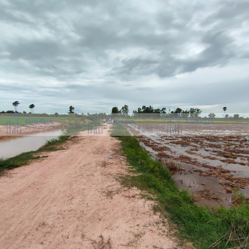ឱកាសវិនិយោគ៖ ដីសម្រាប់អភិវឌ្ឍន៍ជាប់ផ្លូវប្រឡាយមេ ៣០ម៉ែត្រនៅស្រុកបាទី!
