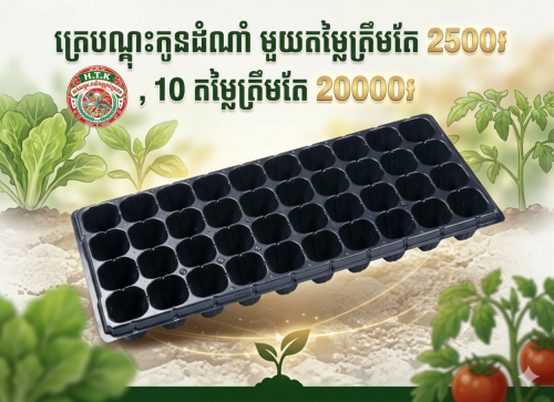 ត្រេបណ្តុះកូនដំណាំលក់ធូៗ