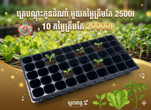ត្រេបណ្តុះកូនដំណាំលក់ធូៗ