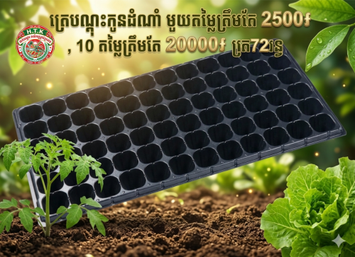 ត្រេបណ្តុះកូនដំណាំលក់ធូៗ