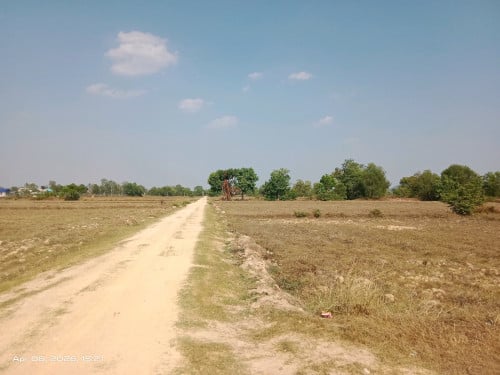 ដីលក់