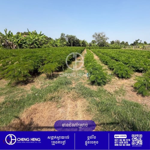 ដីសម្រាប់ នៅក្រុងតាខ្មៅ -S431