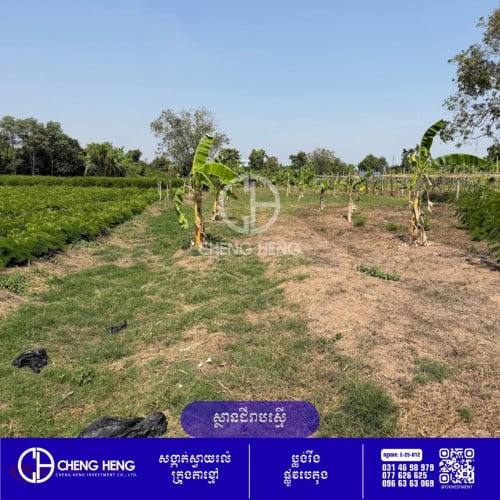 ដីសម្រាប់ នៅក្រុងតាខ្មៅ -S431