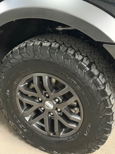 2021 Raptor Ranger