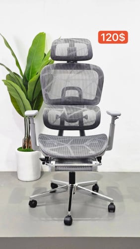 Ergonomics chair
