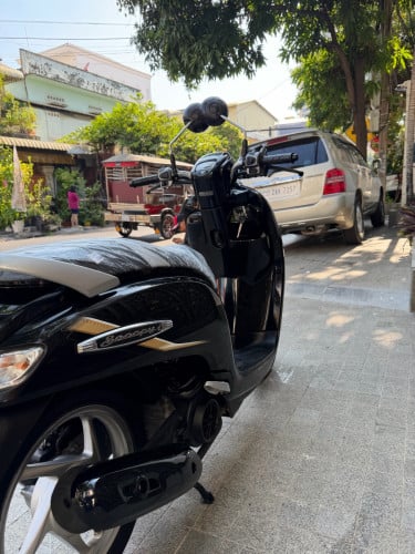 Honda Scoopy 019