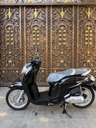 Honda Scoopy 019