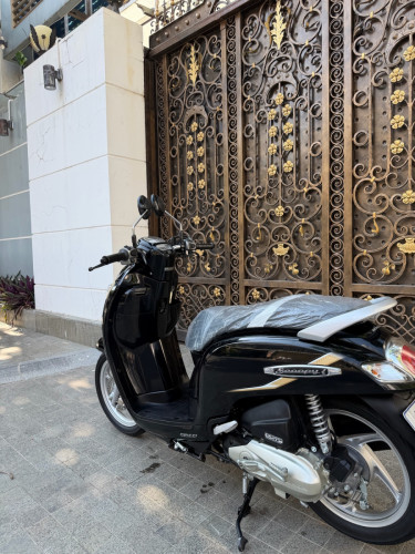 Honda Scoopy 019