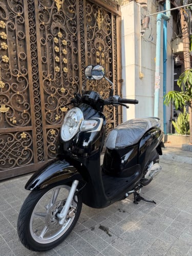 Honda Scoopy 019