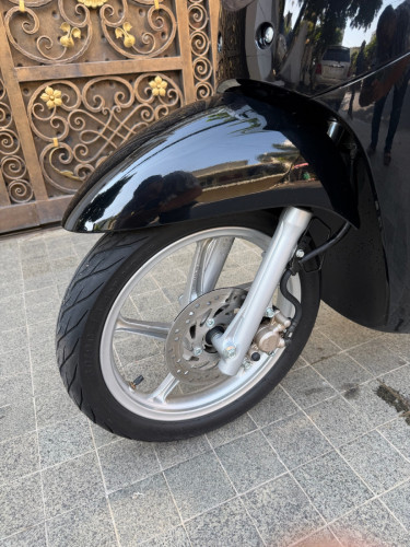 Honda Scoopy 019
