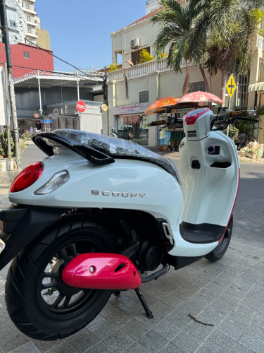 Honda Scoopy 021