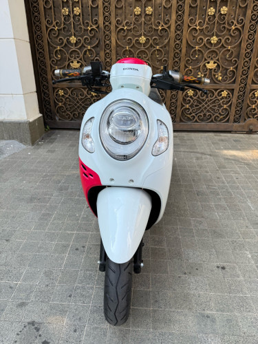 Honda Scoopy 021