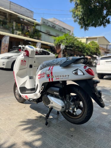 Honda Scoopy 025