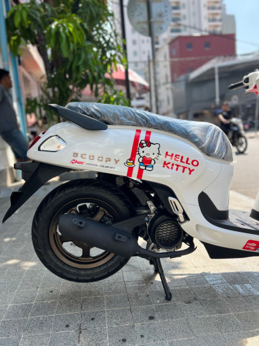 Honda Scoopy 025