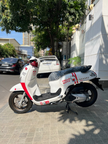 Honda Scoopy 025
