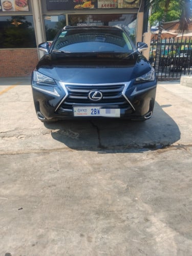 Lexus NX200T SUV