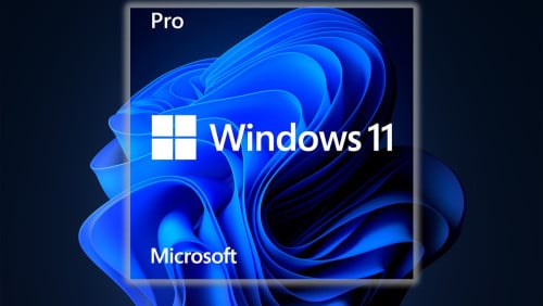 Windows 11 Professional License Key