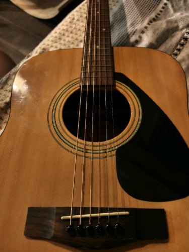 Yamaha F310 P