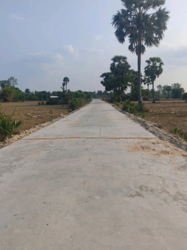 ដីសម្រាប់លក់