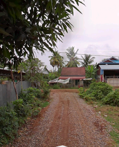 ដីបាត់ដំបង