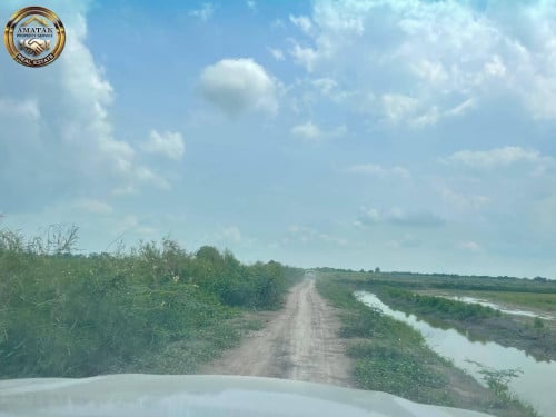 ដីលក់តំលៃល្អខ្លាំង (ជាប់ ព្រែកជីក ហ្វូណន) ស្រុកកៀនស្វាយ ខេត្តកណ្តាល