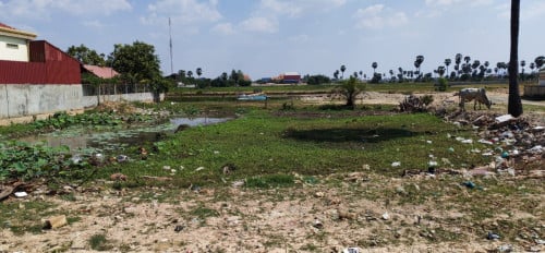 ដីកែងលក់
