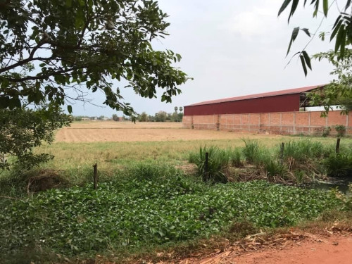 ដីលក់បន្ទាន់ | Land for Sale (Urgent)