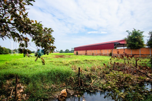 ដីលក់បន្ទាន់ | Land for Sale (Urgent)