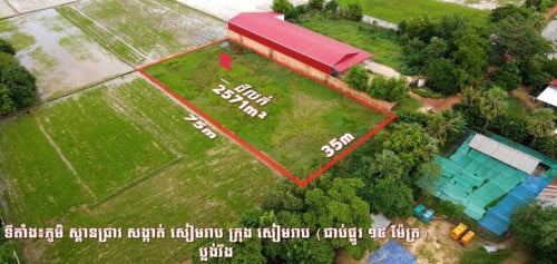 ដីលក់បន្ទាន់ | Land for Sale (Urgent)